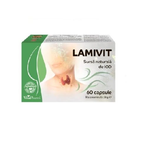 Ламивит капсулы №10х6